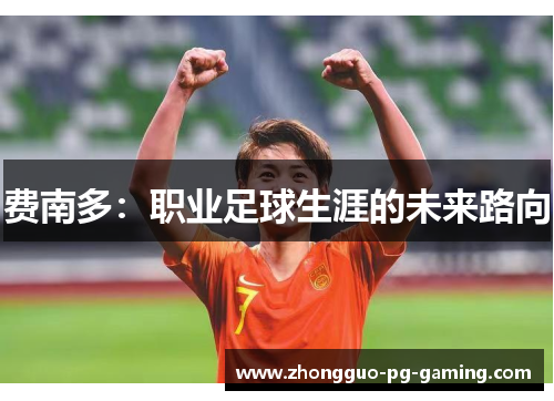 费南多:职业足球生涯的未来路向 费南多:职业足球生涯的未来路向